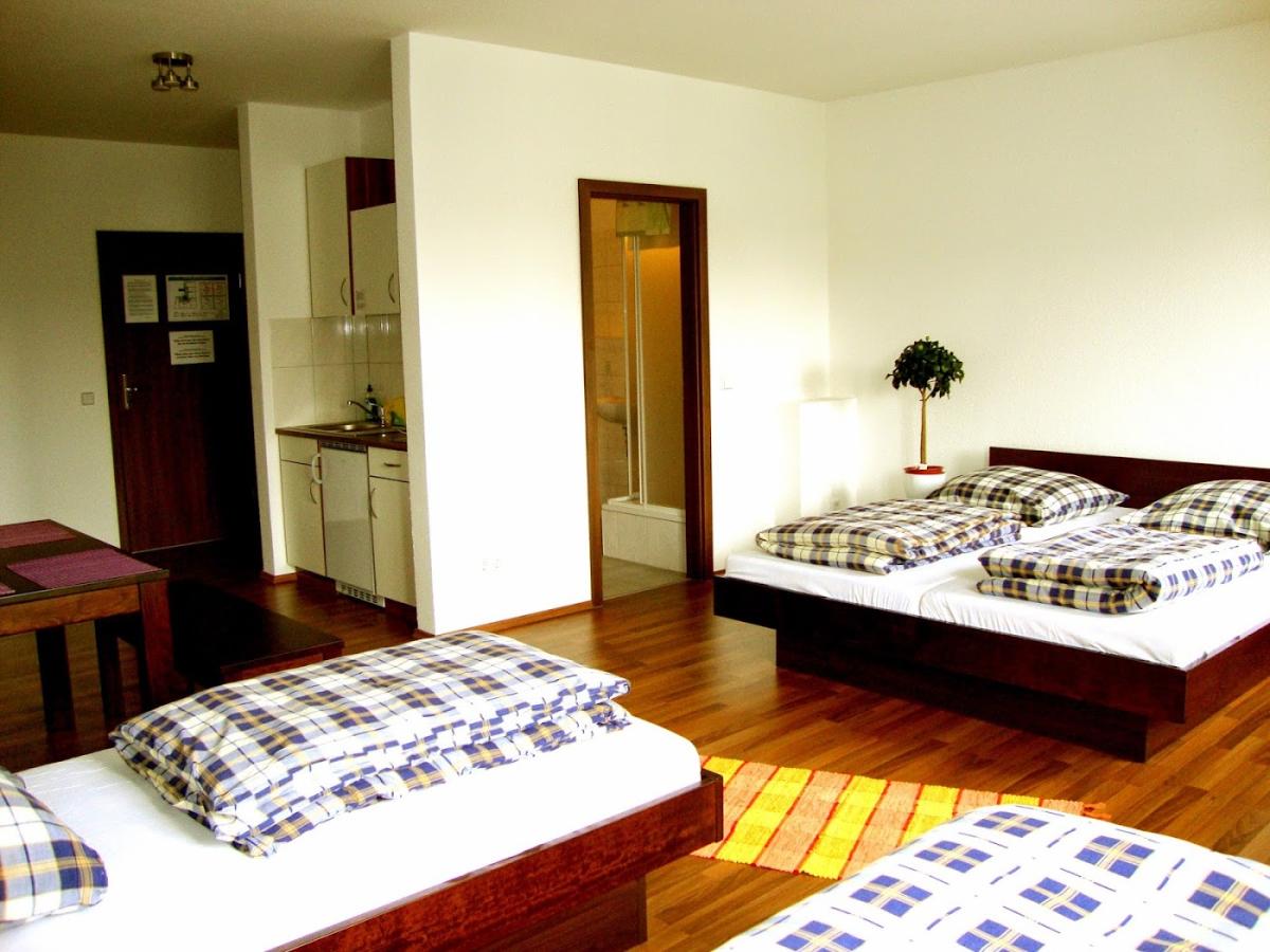 Sleepy Lion Hostel