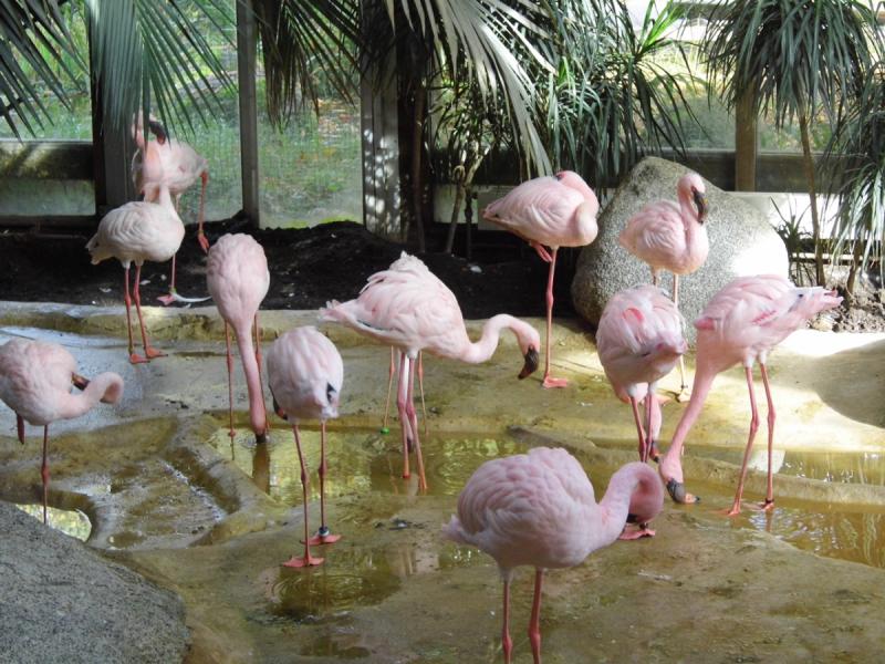 Zoo Karlsruhe